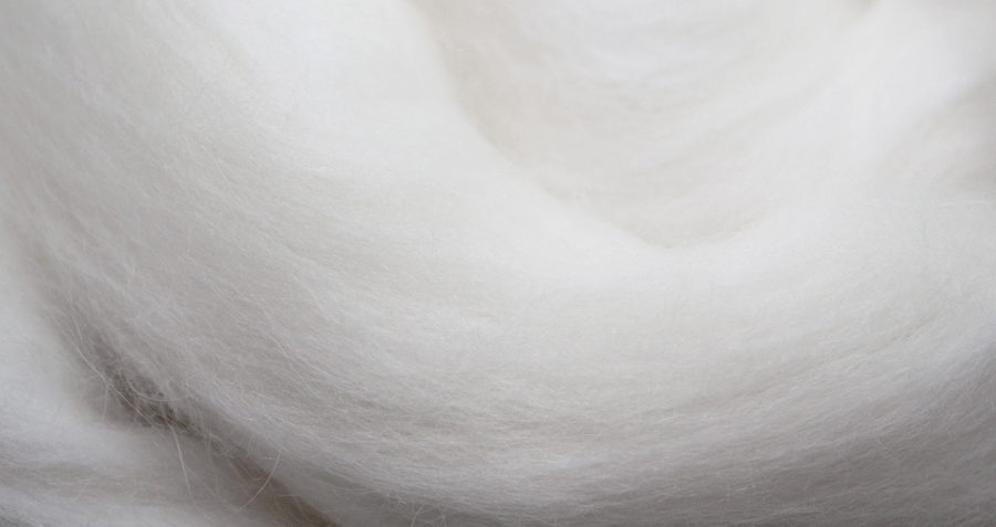La laine angora cardée