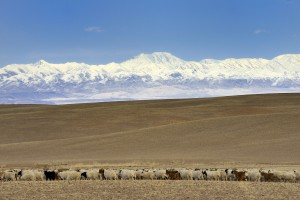 Mongolia. Bakankhongor province.